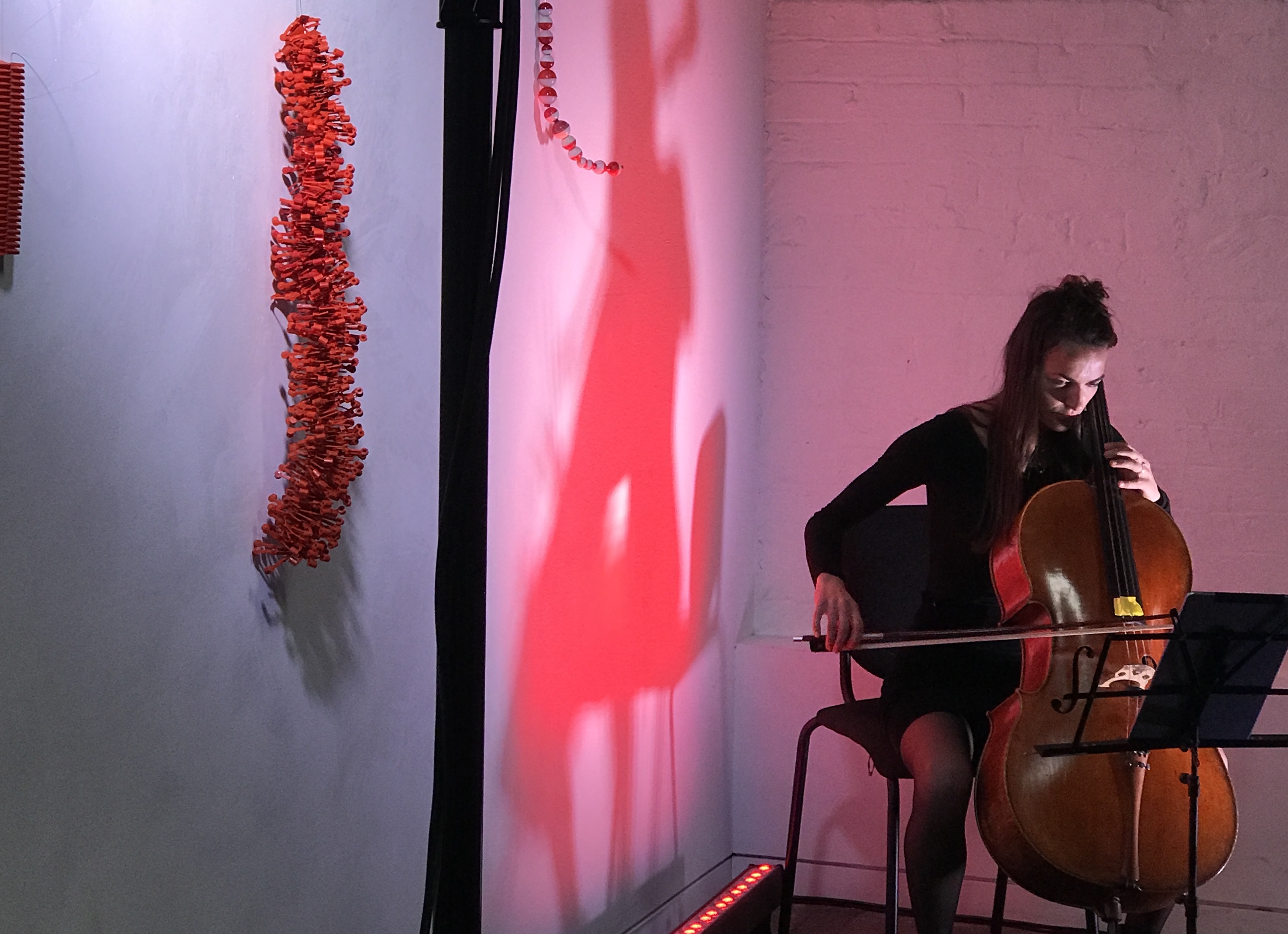 Voices Cello Red wall 2020